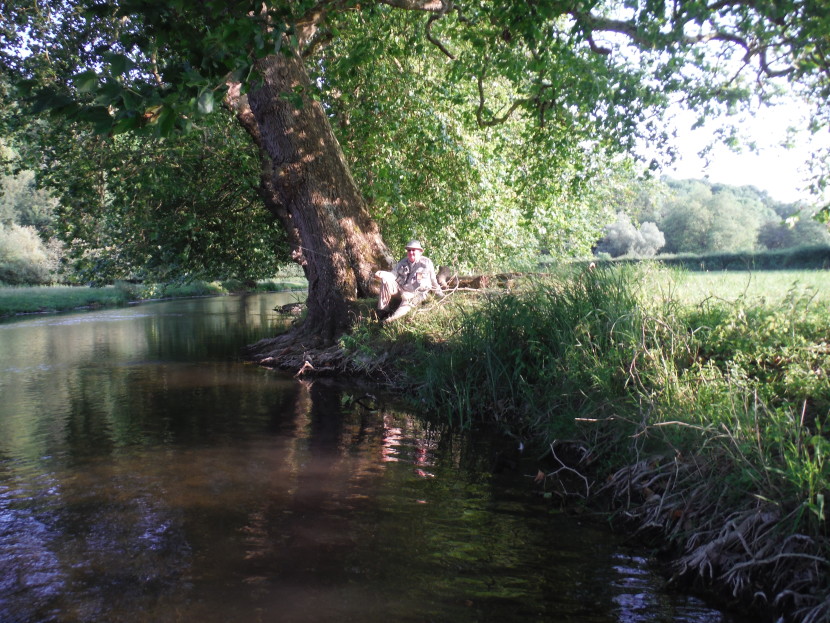 The Avon at Heale